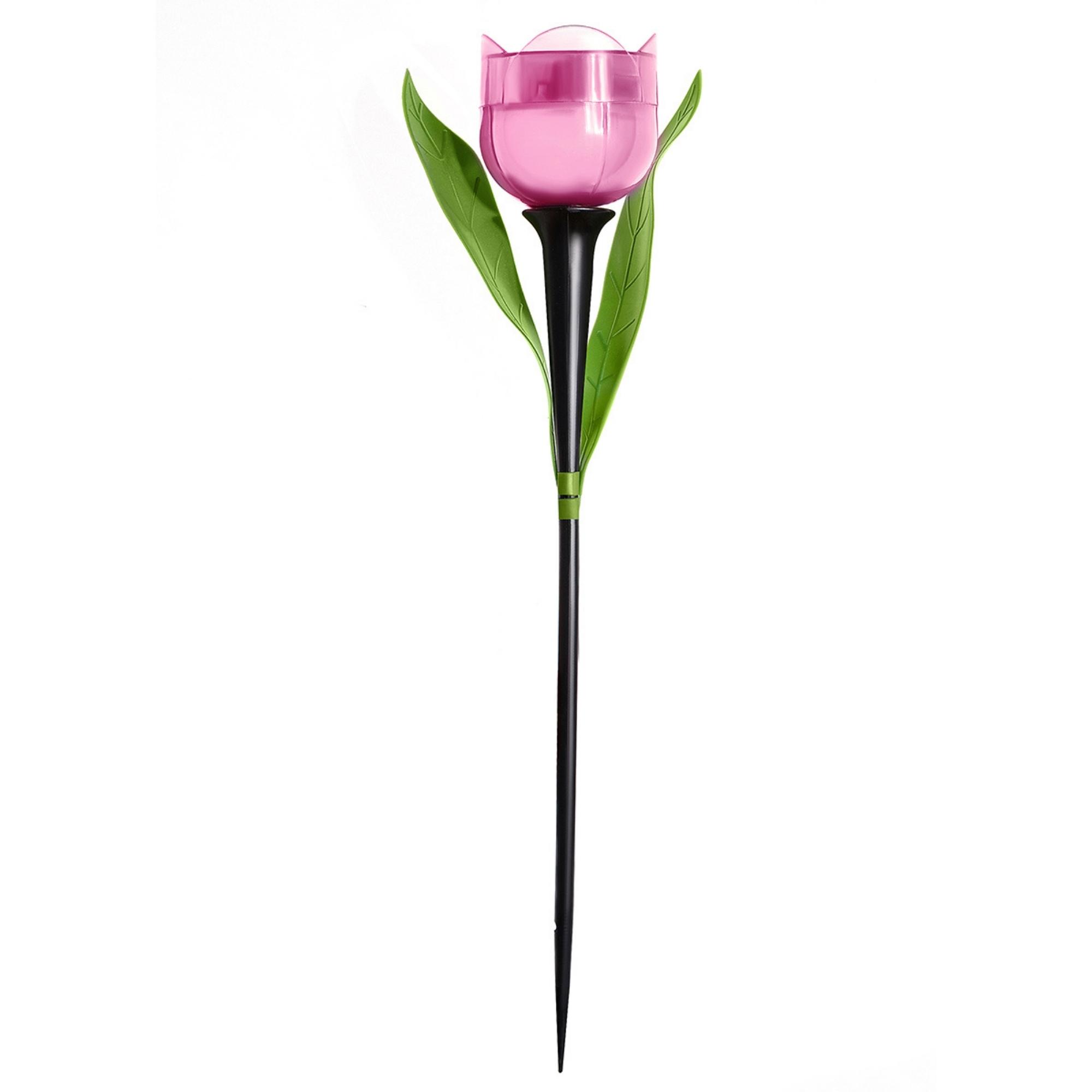 USL-C-451/PT305 PINK TULIP