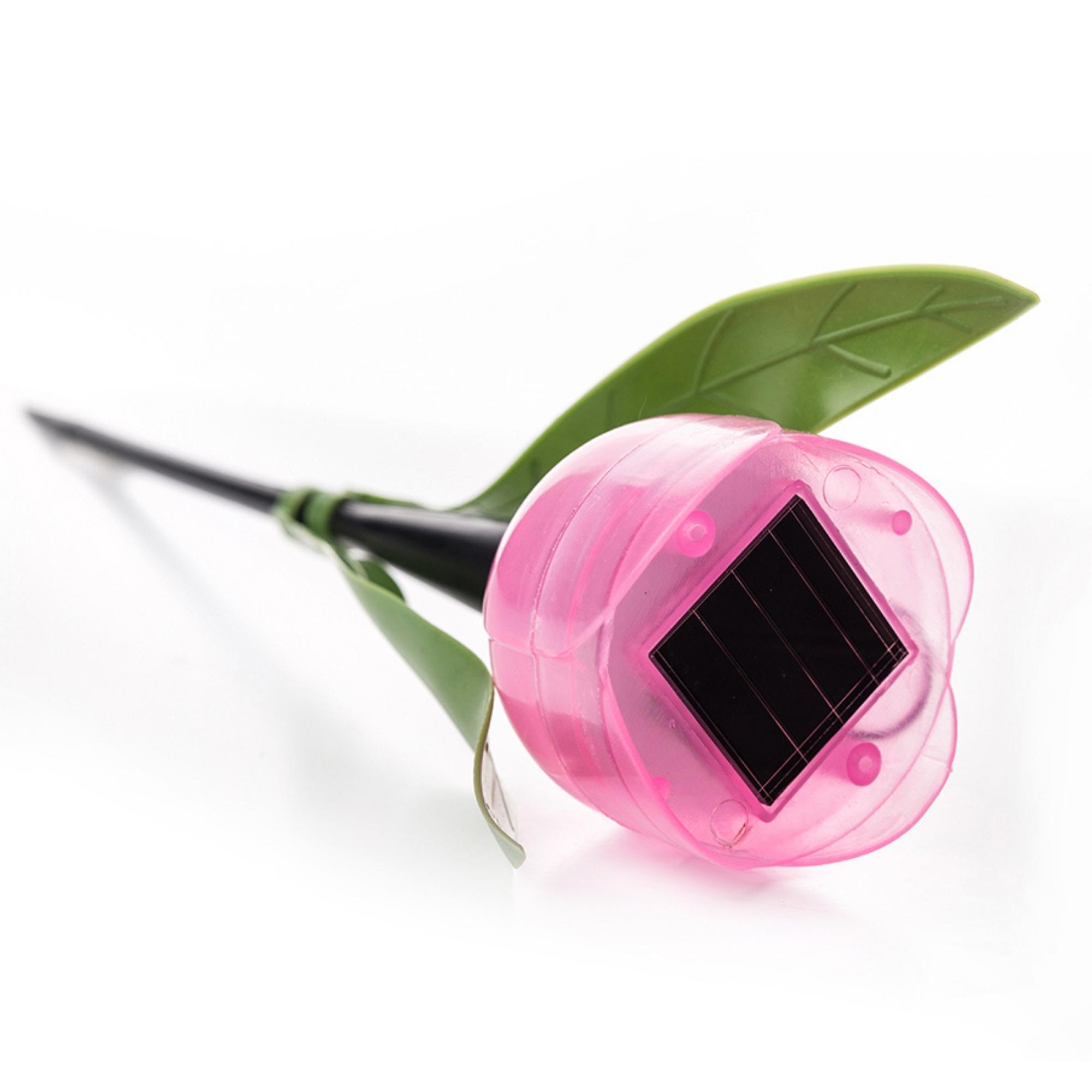 USL-C-451/PT305 PINK TULIP