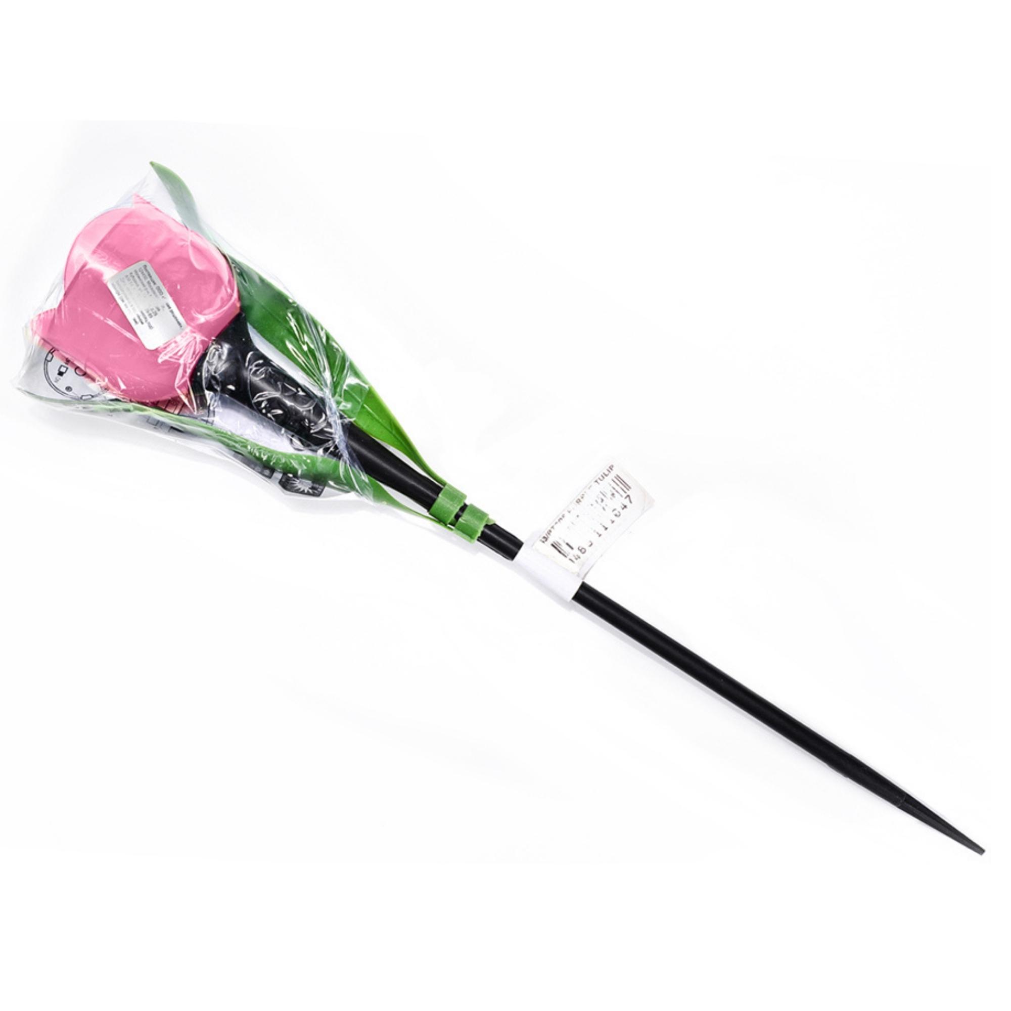 USL-C-451/PT305 PINK TULIP