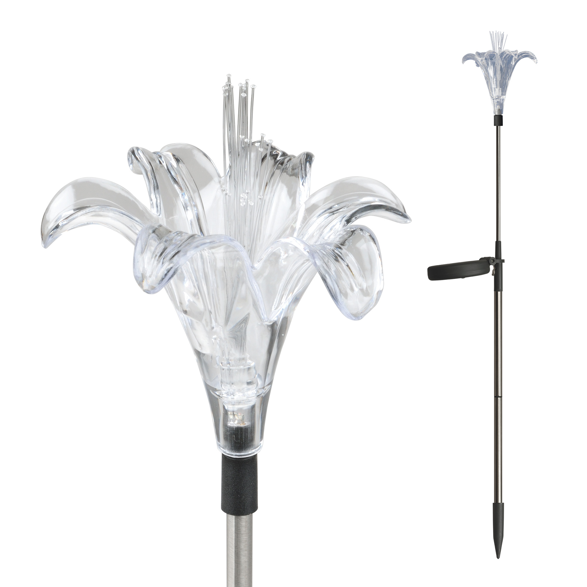 USL-S-104/MT810 Lily