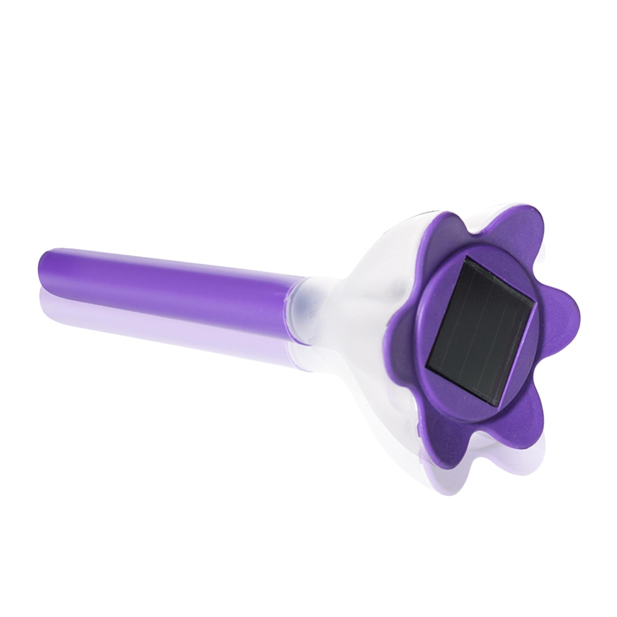 USL-C-417/PT305 Purple crocus