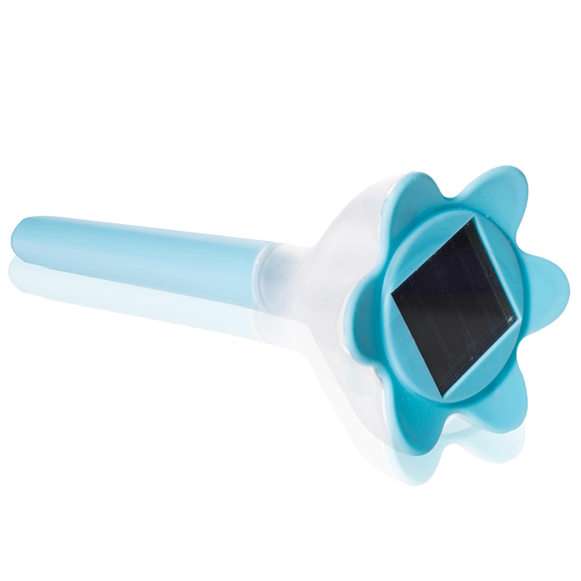 USL-C-418/PT305 Blue crocus