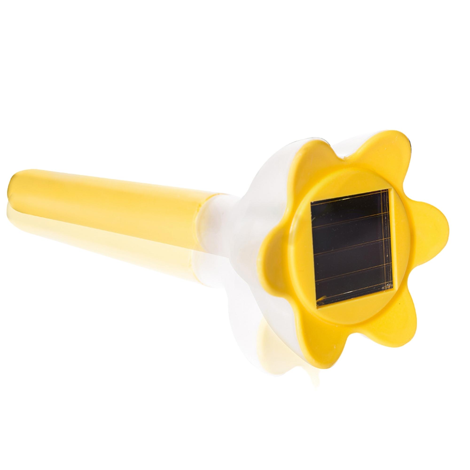 USL-C-419/PT305 Yellow crocus