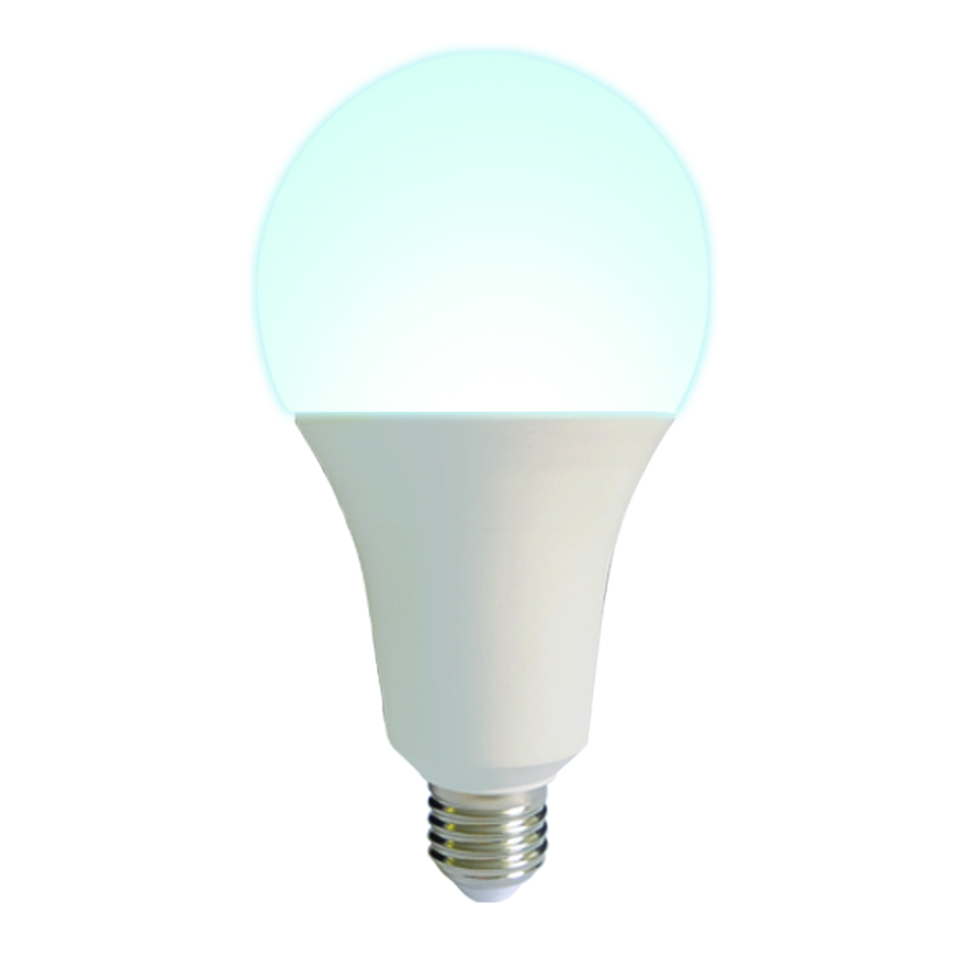 LED-A95-30W/6500K/E27/FR/NR картон